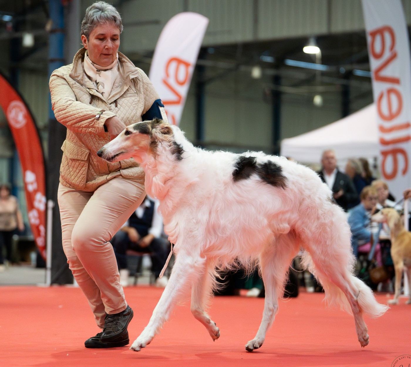 CH. Ugo Boss d'otchoa